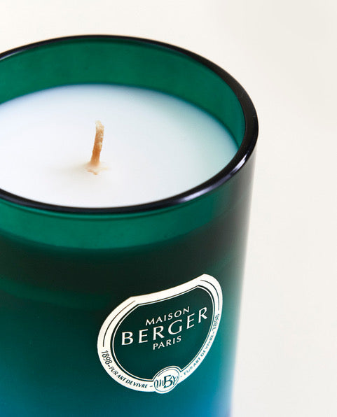 Bougie Parfumée Ombré Vert-Bleu Dare – Zeste de Verveine