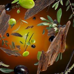Sous l’oliveraie