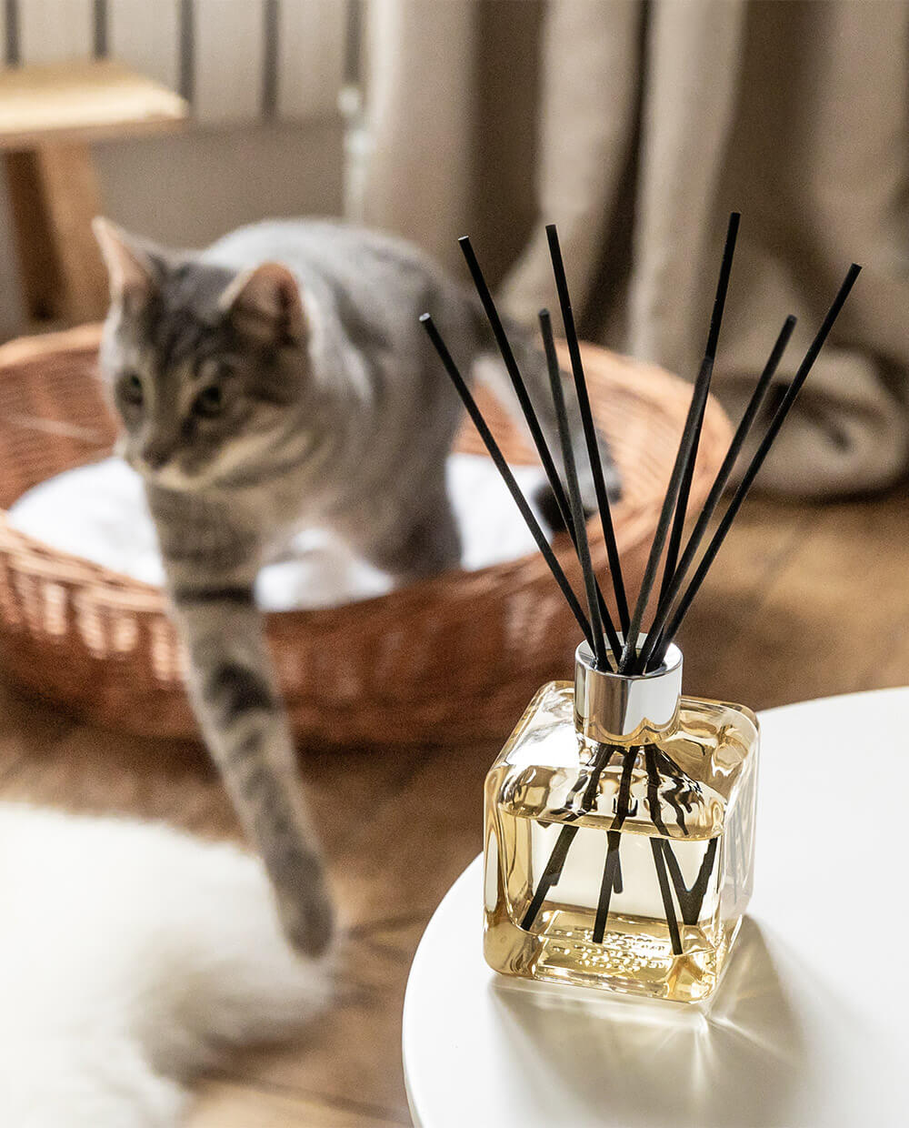 Orange Cinnamon Cube Reed Diffuser