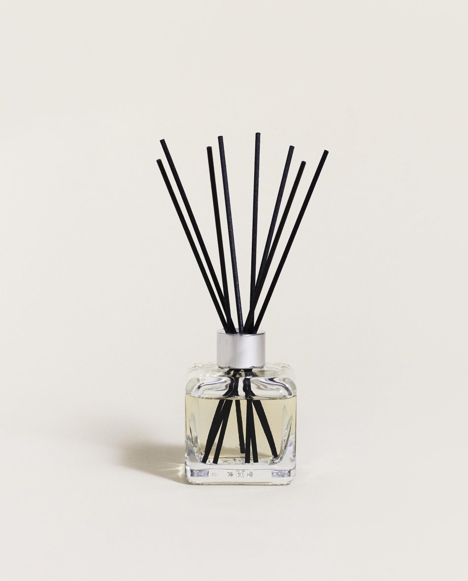 Terre d'Épices (Land of Spices) Pre-filled Cube Reed Diffuser