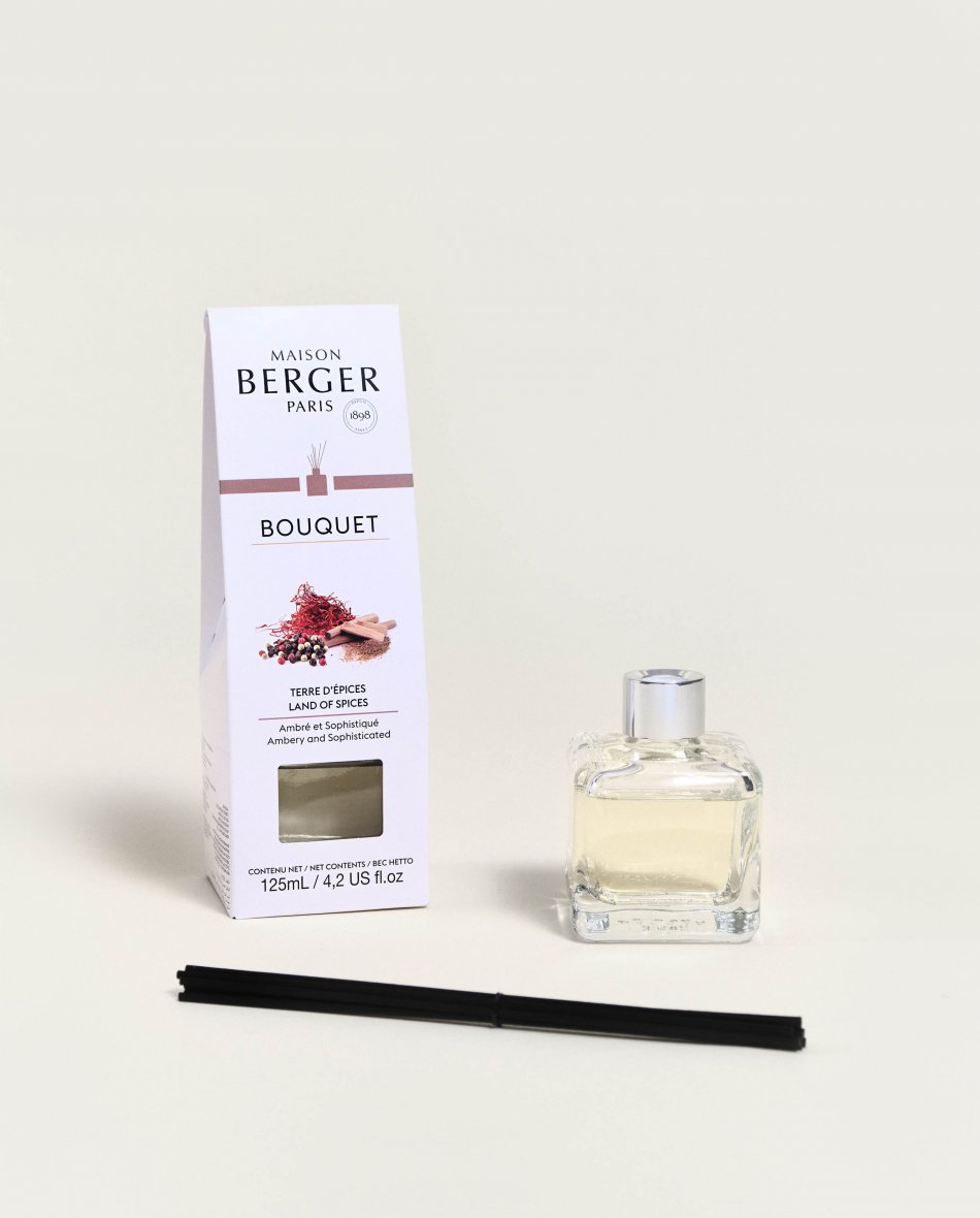 Terre d'Épices (Land of Spices) Pre-filled Cube Reed Diffuser